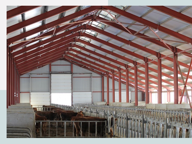 Строительство коровников в Люберцах