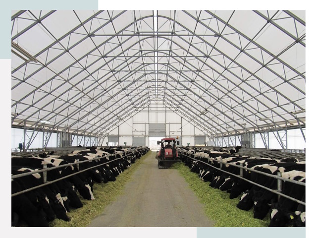 Тентовые коровники в Люберцах от 631 руб. - Надежно и доступно